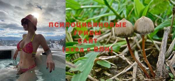 стафф Киренск